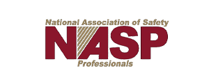nasp-2-2